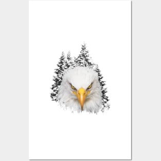 Great bald eagle head in background of snowy pine trees Posters and Art